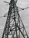 IMG_9770