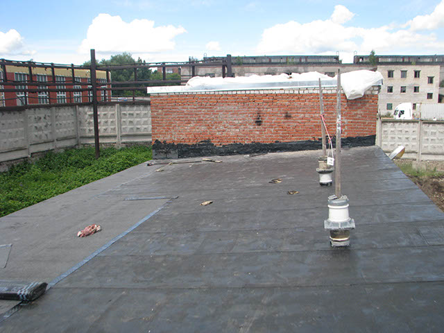 29-IMG_7465