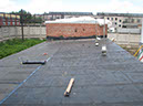 31-IMG_7467