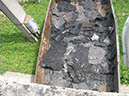 04-IMG_7269