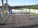 15-IMG_7264