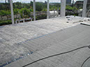 36-IMG_7487