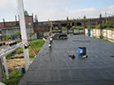 23-IMG_7426