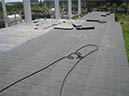 35-IMG_7486