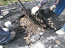 01-IMG_7266