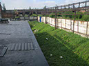 24-IMG_7427